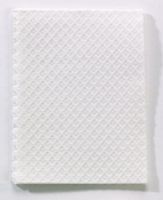 Patient Towel 13 W X 18 L Inch White
